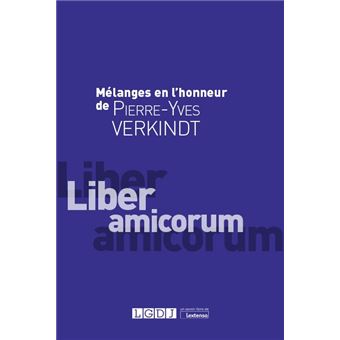 Mélanges en l'honneur de Pierre-Yves Verkindt