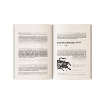 The Clash - L’Expérience