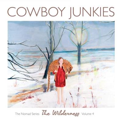 The wilderness - The nomad series volume 4
