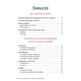 Mon carré de plantes aromatiques & médicinales