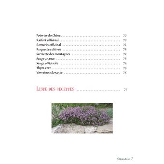 Mon carré de plantes aromatiques & médicinales