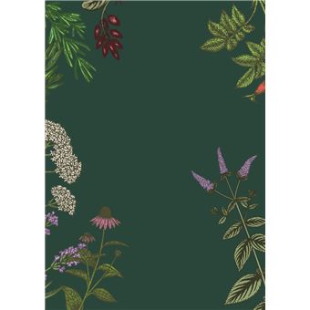 Mon carré de plantes aromatiques & médicinales