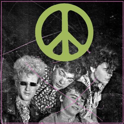 Scratching The Door : The First Recordings Of the Flaming Lips