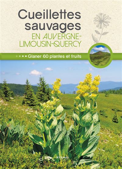Cueillettes sauvages en auvergne-limousin-quercy