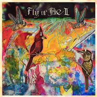 Fly Or Die II (IA11 Edition)