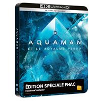 Indiana Jones et le Cadran de la Destinée Édition Collector Limitée  Spéciale Fnac Steelbook Blu-ray 4K Ultra HD - Blu-ray 4K - Achat & prix