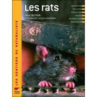 Les rats