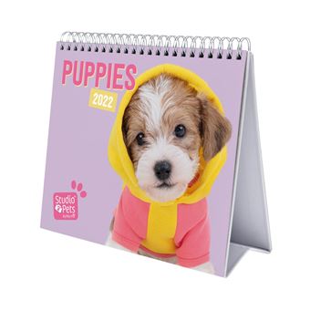 Calendrier bureau 2022 Studio Pets Dogs