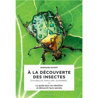 A la découverte des insectes