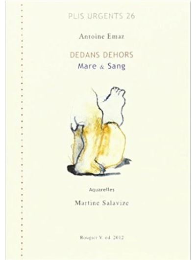 Dedans dehors - Antoine Emaz - broché