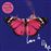 Love Is Like - Vinilo + Poster