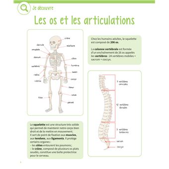 Mon gros cahier du corps humain