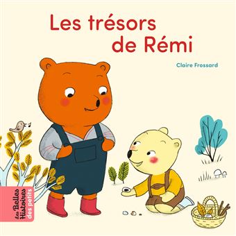 Les  trésors de Rémi