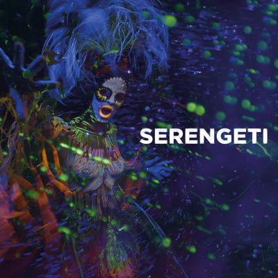 Serengeti Inclus coupon MP3