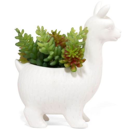 Kikkerland Lloyrd The Lama Planter