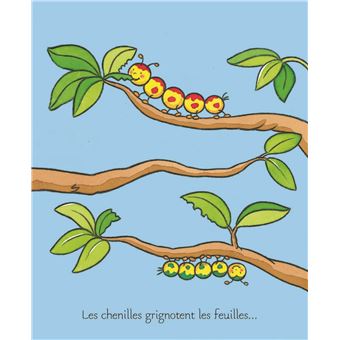 Les petites bêtes