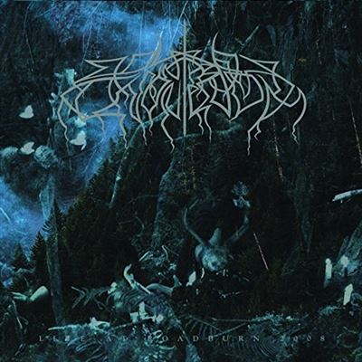 LIVE AT ROADBURN 2008/LP