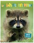 Les bébés animaux 800 photos
