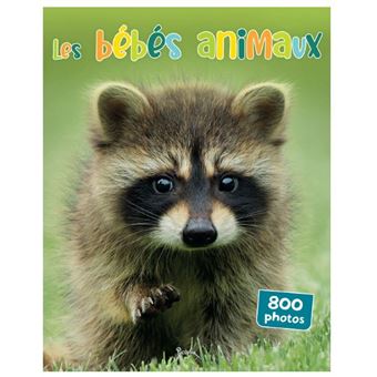 Les bébés animaux 800 photos
