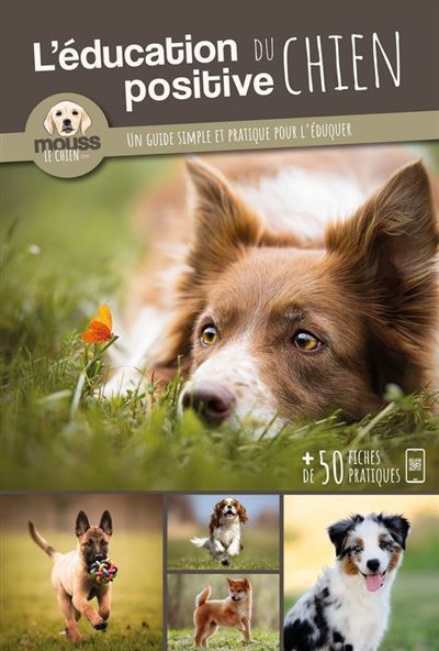 L'éducation positive du chien -  Mouss Le Chien - broché