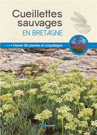 Cueillettes sauvages en Bretagne - Philippe Chavanne - broché