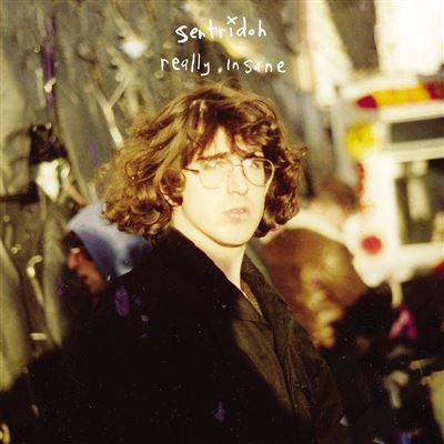 Really Insane : A Lou Barlow Compendium Vinyle Coloré