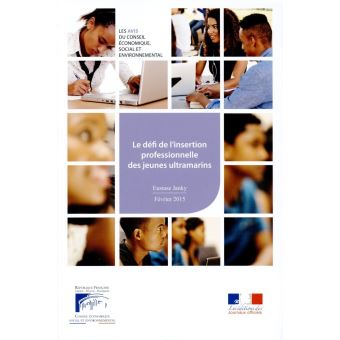 Le Défi De L'insertion Professionnelle Et Sociale Des Jeunes ...