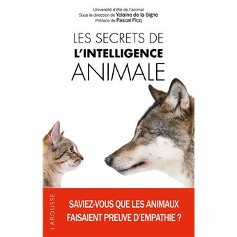 Les Secrets De Lintelligence Animale