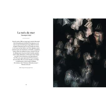 Le Monde étrange et fascinant des Méduses