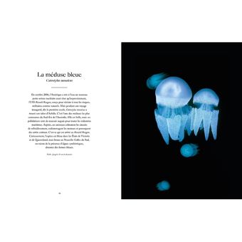 Le Monde étrange et fascinant des Méduses