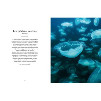 Le Monde étrange et fascinant des Méduses