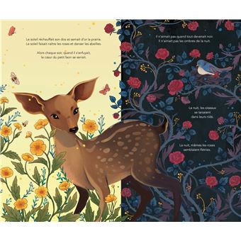 Le faon et le soleil