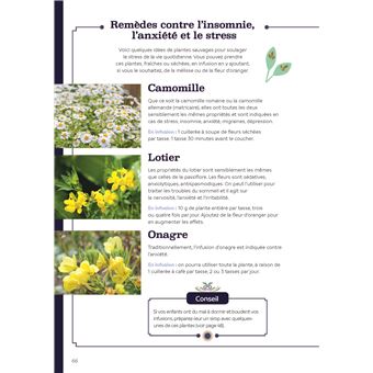 Recettes secrètes des druidesses