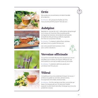 Recettes secrètes des druidesses