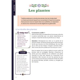 Recettes secrètes des druidesses