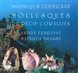 Mollusques du récif corallien