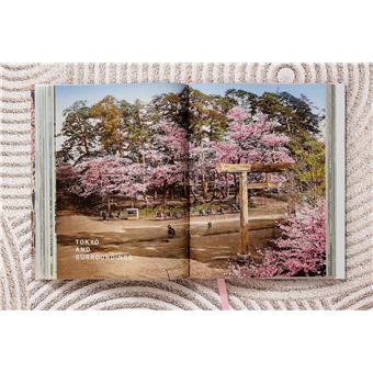 Japan 1900