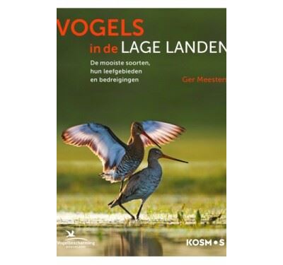Vogels in de lage landen
