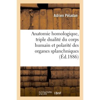 Anatomie homologique, la triple dualité du corps humain et la polarité des organes splanchniques