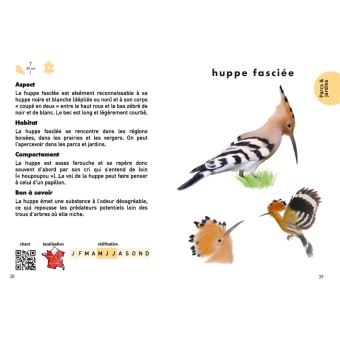 Des oiseaux dans mon jardin