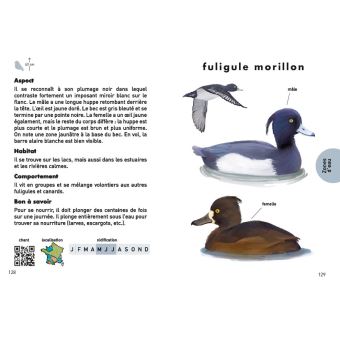 Des oiseaux dans mon jardin