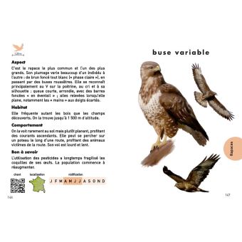 Des oiseaux dans mon jardin