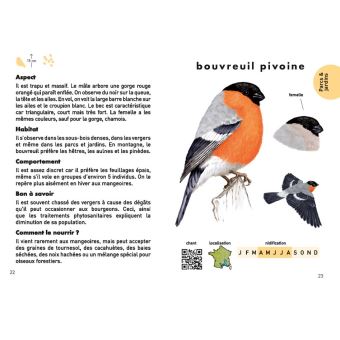 Des oiseaux dans mon jardin