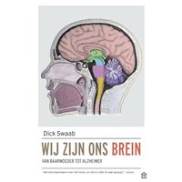 Wij zijn ons brein