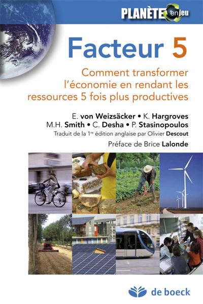 Facteur 5: comment transformer l'économie en rendant les ressources 5 fois plus productives