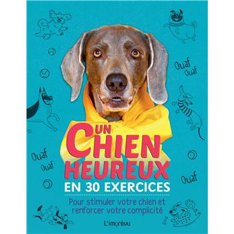 Un chien heureux en 30 exercices