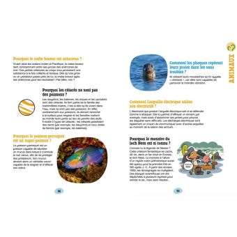 Les incollables - Pourquoi Comment Spécial Sciences