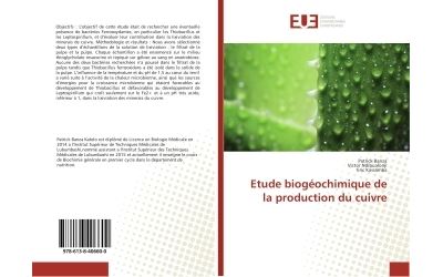 Etude biogéochimique de la production du cuivre
