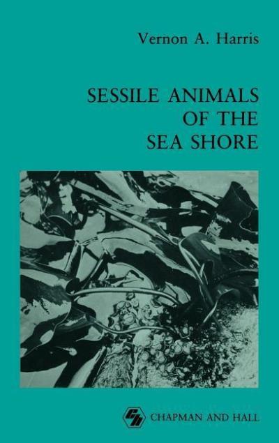 Sessile animals of the sea shore