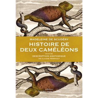 Histoire de deux caméléons